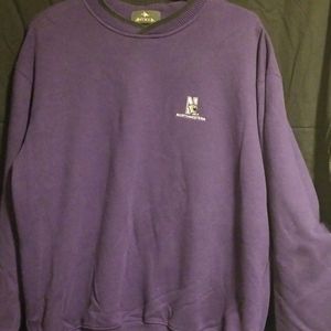 Northwestern Wildcat sweatshirt